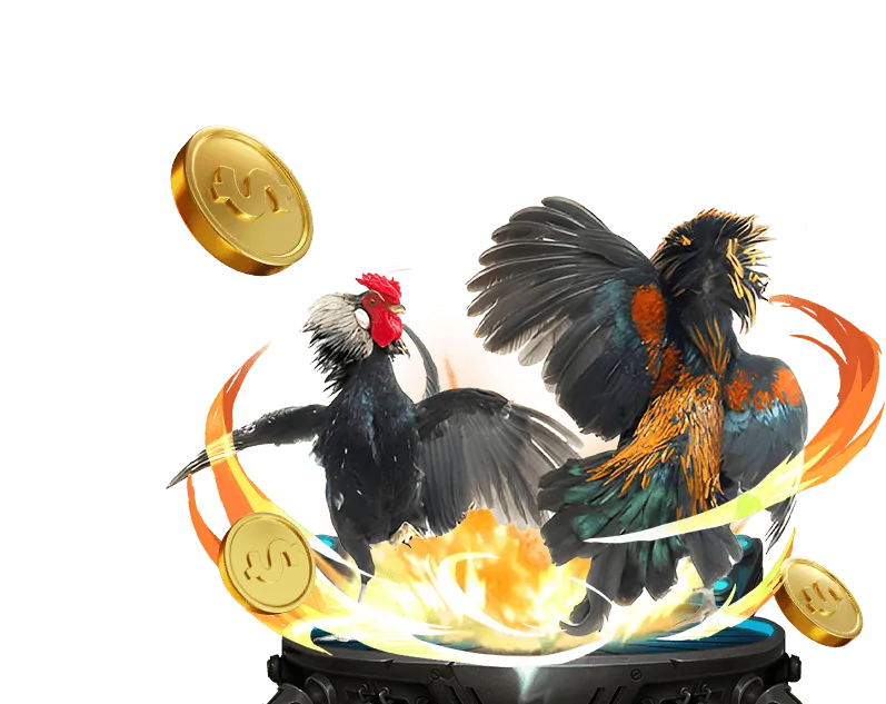 Người chơi tham gia game bài đổi thưởng tại zt9398 nhà cái